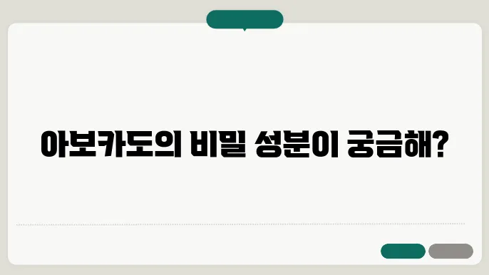 아보카도 성분