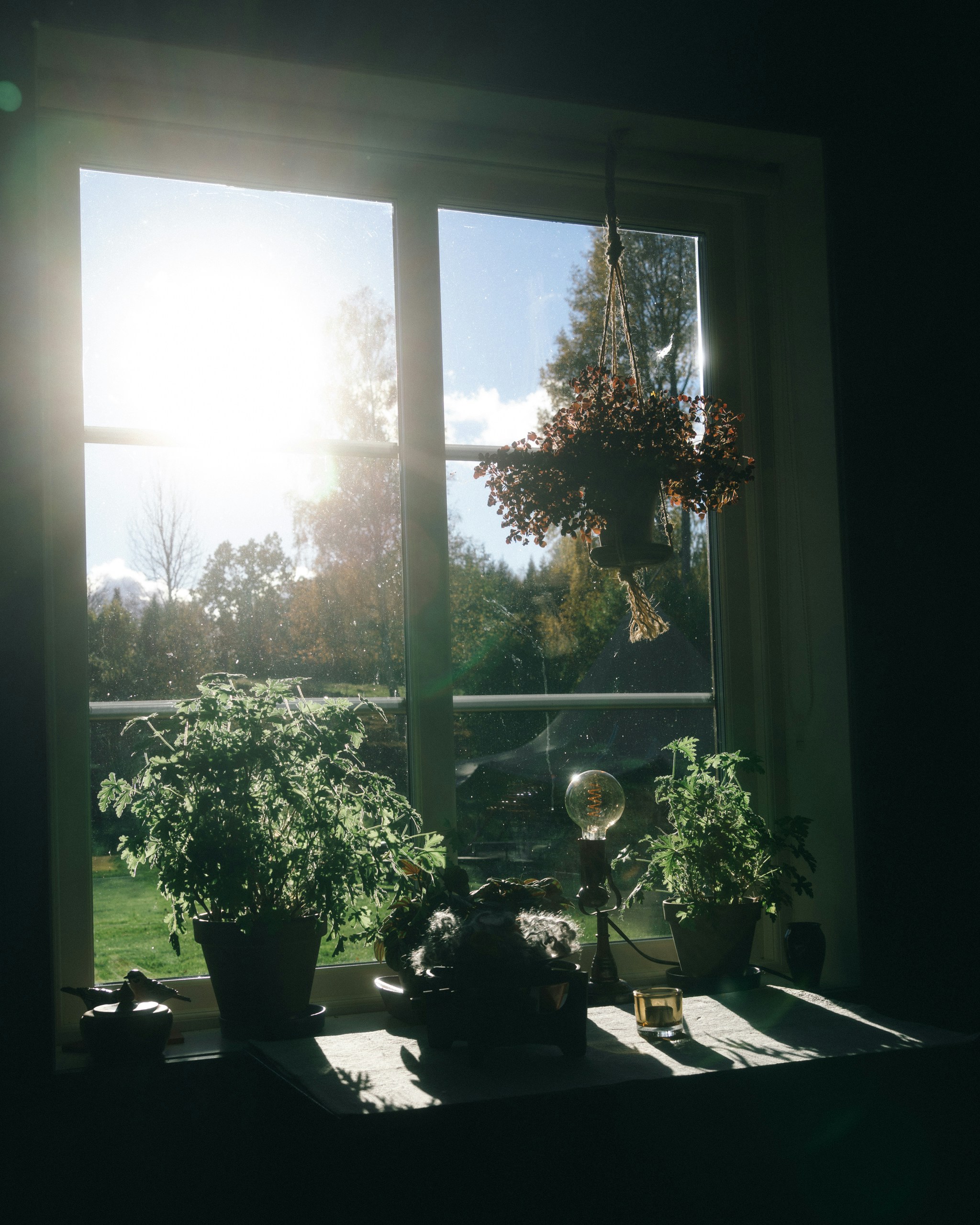 햇살이 스며드는 창가 관련 사진