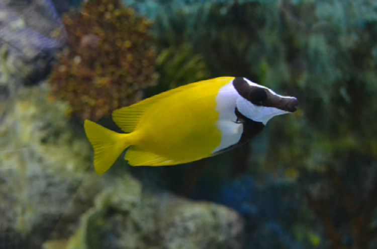 울진 아쿠아리움