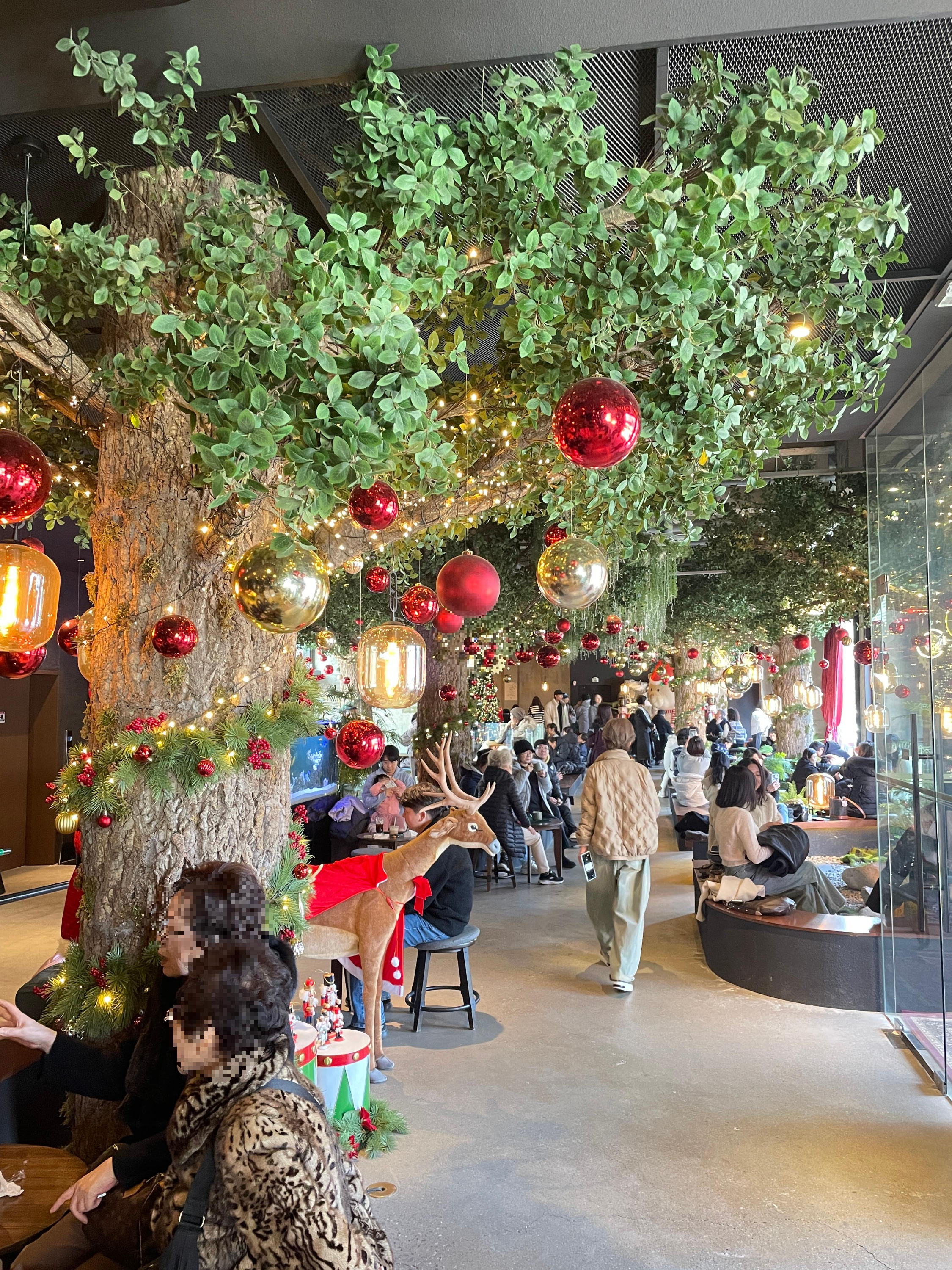 카페 어나더사이드 크리스마스 시즌