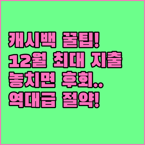 연말 최대 소비 12월 카드사 캐시백..