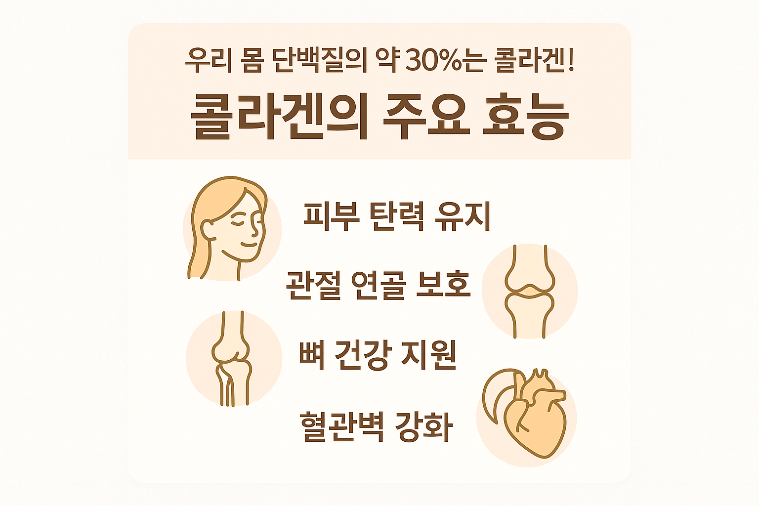 콜라겐이란? 우리 몸에서의 역할
✅ 피부 탄력 유지
✅ 관절 연골 보호
✅ 뼈 건강 지원
✅ 혈관벽 강화
