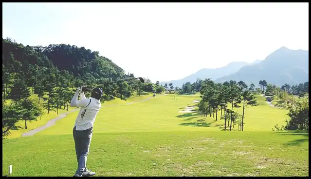 파크골프채 가격 추천 (혼마, 피닉스, 미즈노)