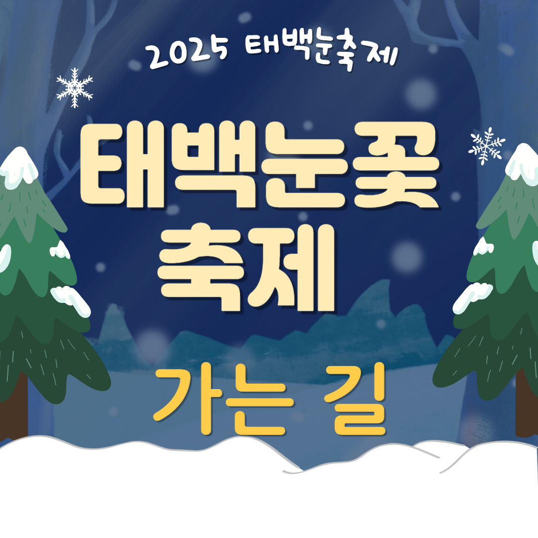 제32회 태백산 눈축제 일정 주차장
