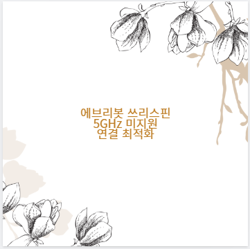 에브리봇 쓰리스핀 5GHz 미지원 연결 최적화