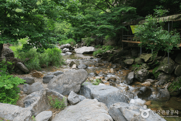 양평 사나사계곡
