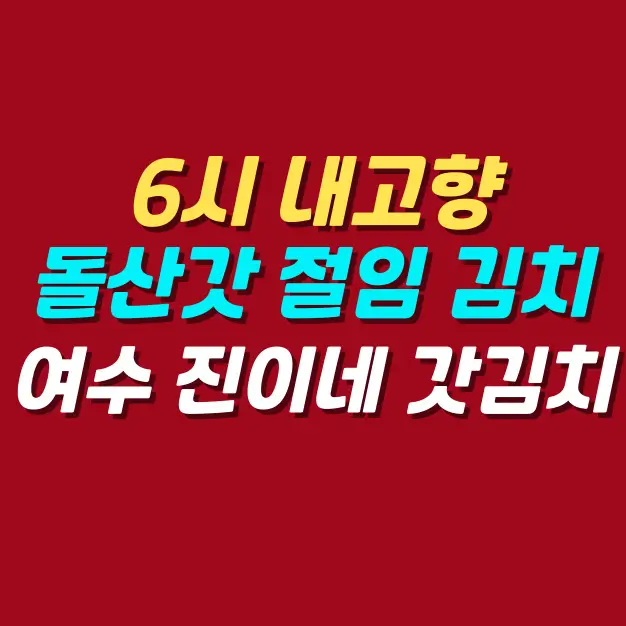 6시-내고향-돌산갓-절임-김치-추천