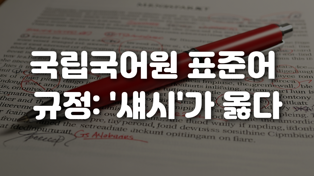 국립국어원 표준어 규정 섀시 가 옳다