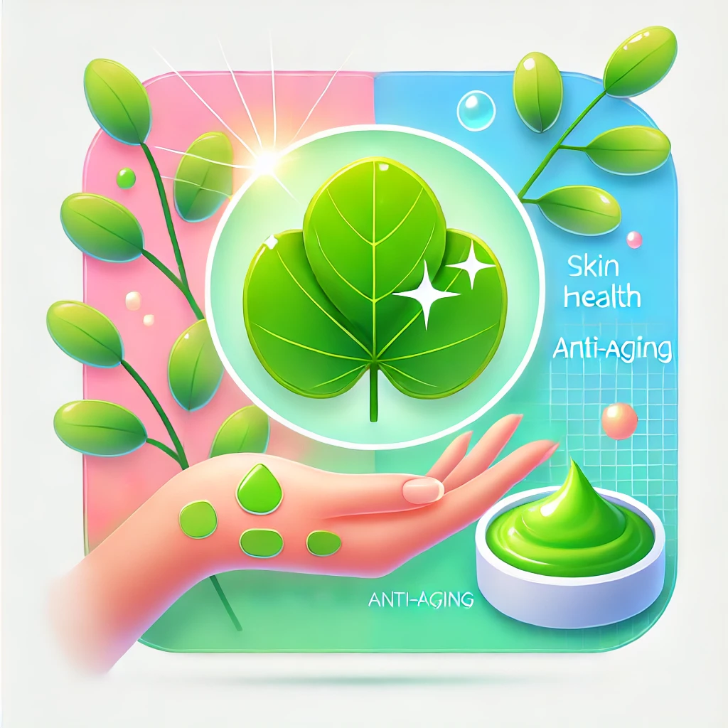 로렐라 선택 시 체크해야 할 사항