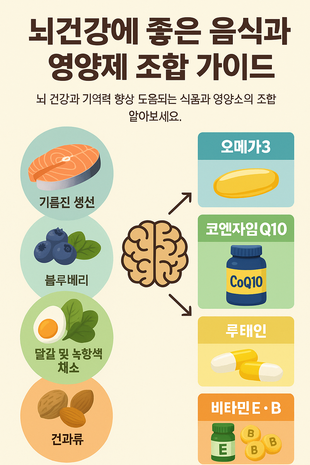 뇌건강 음식 영양제 조합