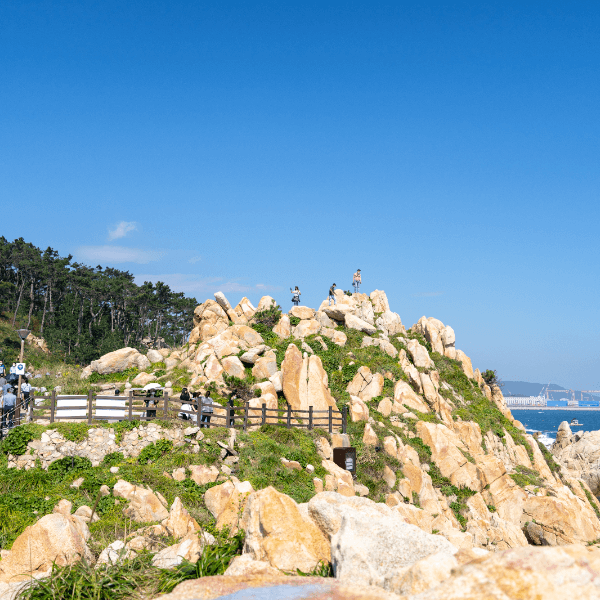 울산-대왕암-공원
