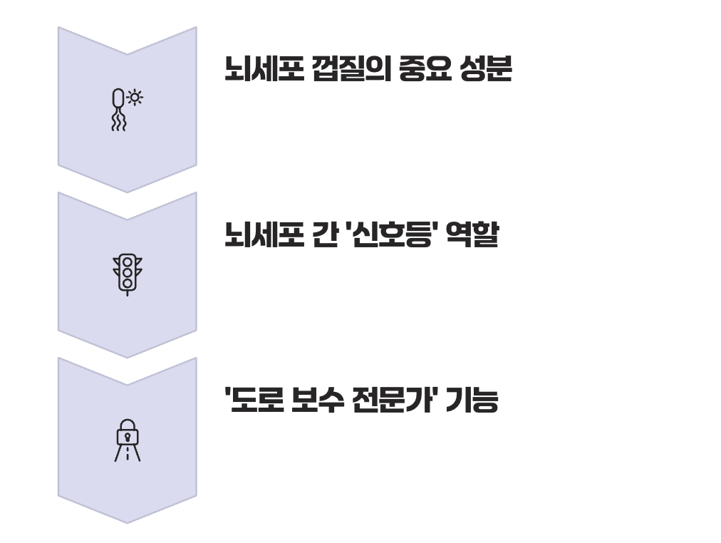 내 머릿속의 신호등&amp;#44; 포스파티딜세린