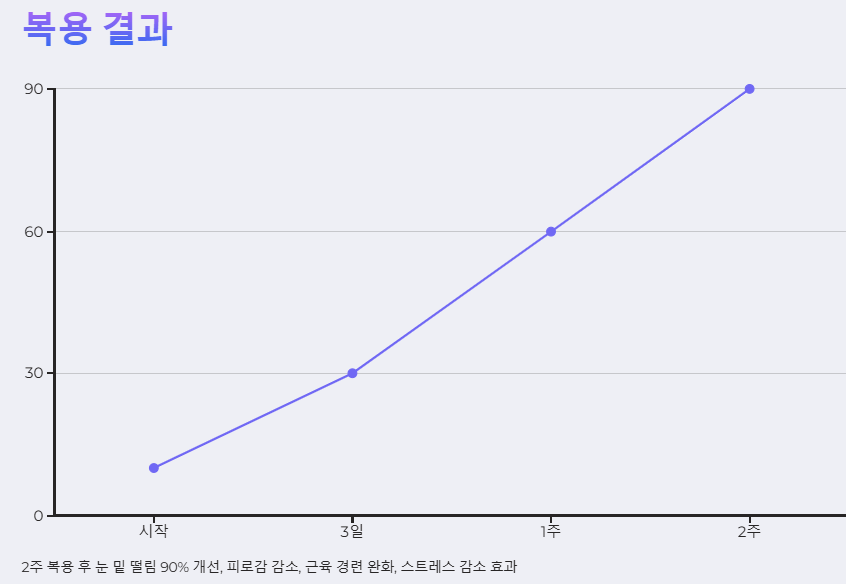 마그네스정