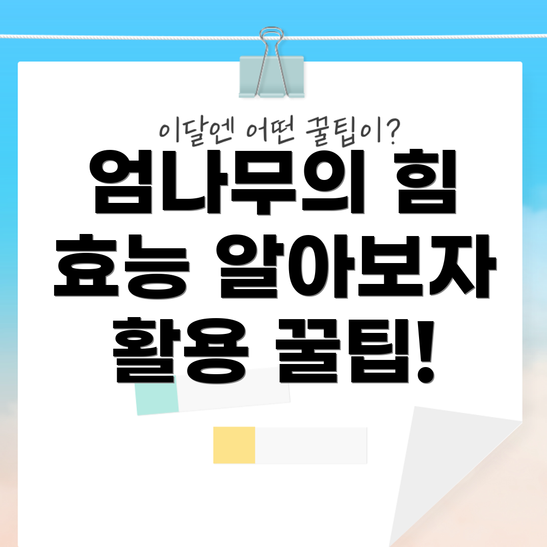 엄나무 껍질 효능