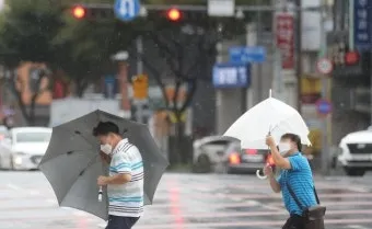 제주 강풍 경보 올레길 구간 선택 산책 속도 조절_2