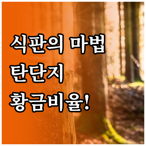 식판 원칙 활용한 탄수화물 단백질 지..