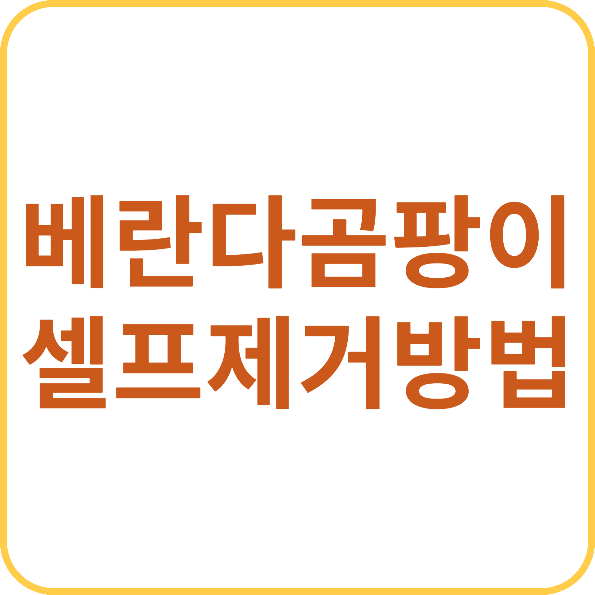 베란다 곰팡이 셀프 제거 방법