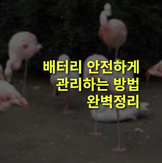 부화뇌동이란?뜻, 유래, 예시, 사례 총정리!