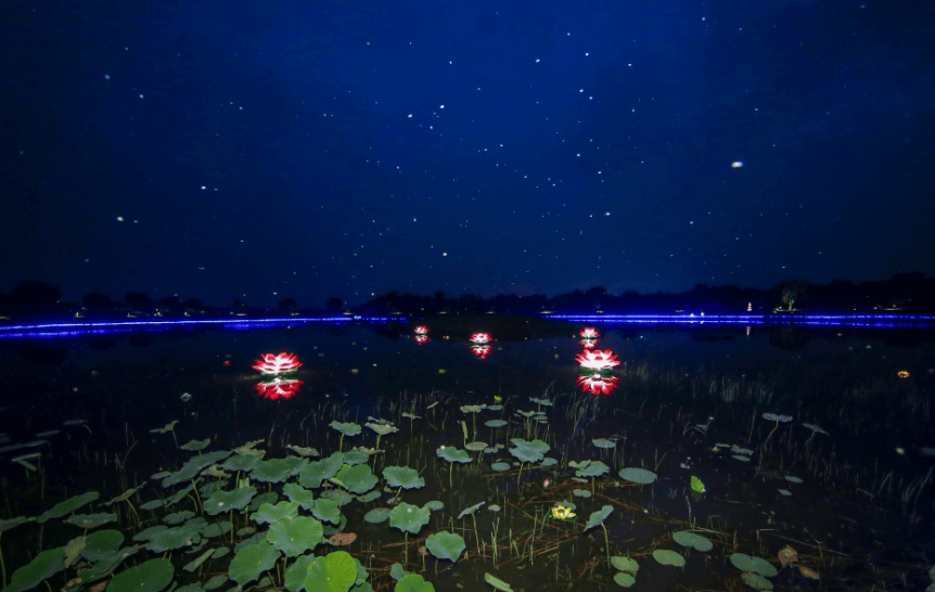 당진 아마존 워터파크 아쿠아파크 (입장권, 카바나 예약, 주변관광지)