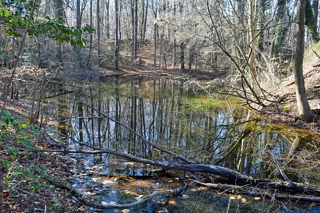 평택지제역 SRT 기차 시간표 확인과 예매 노하우 소개_6