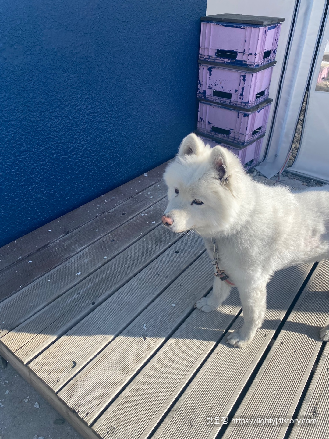 폴게스트하우스 모찌