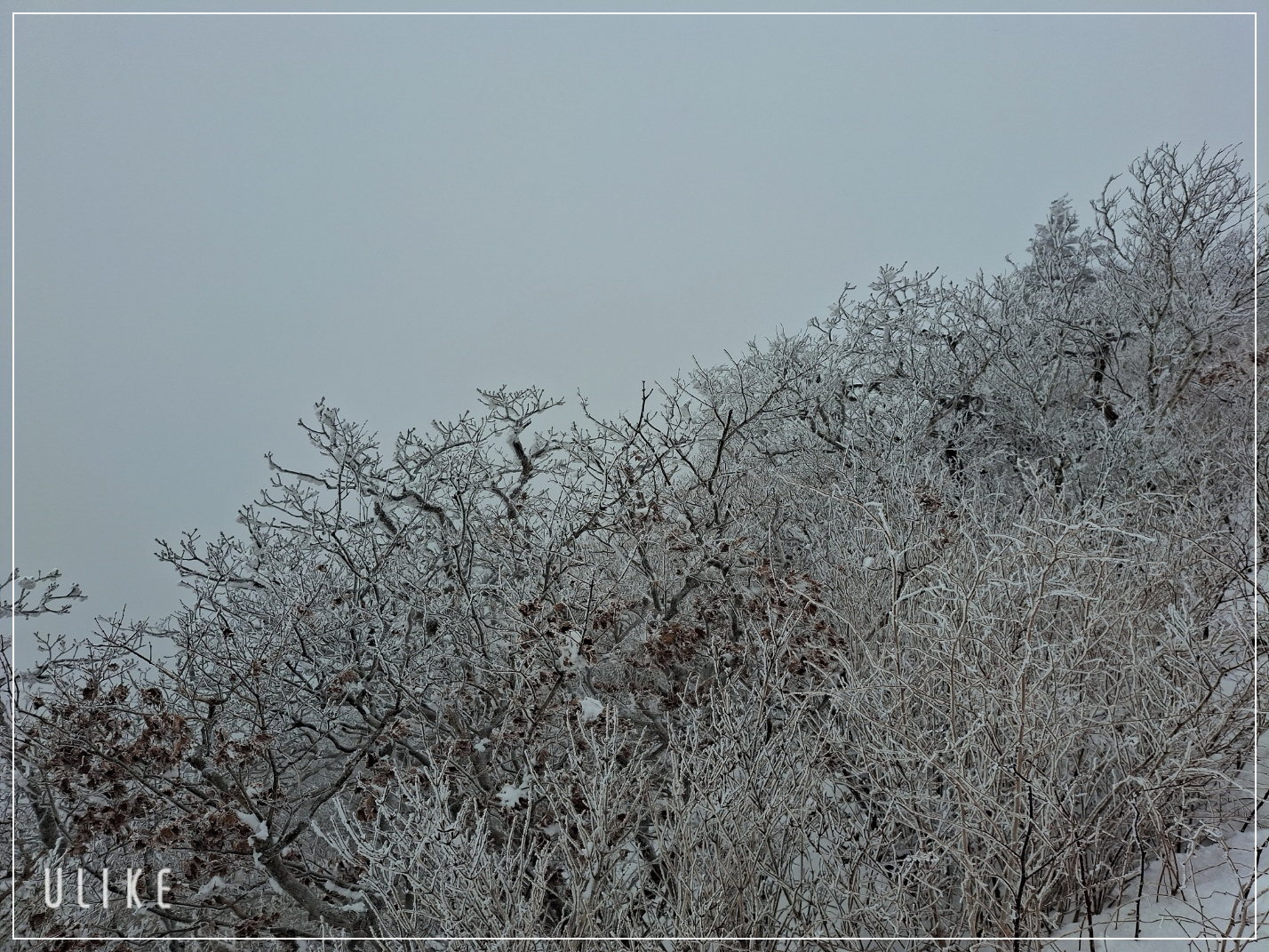 덕유산 눈꽃 축제