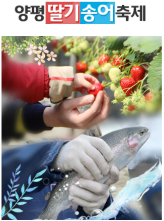 양평딸기 송어축제