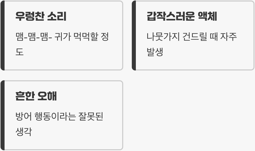 여름날의 갑작스러운 물총 세례