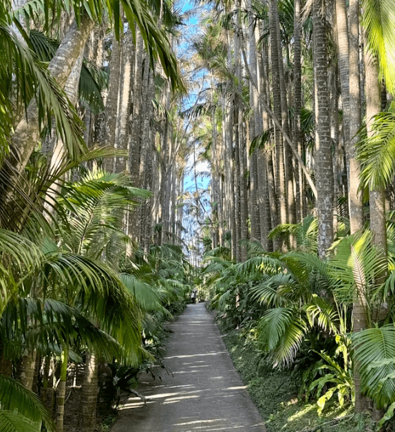오키나와 숙소 BEST: 여행 스타일별 맞춤 추천