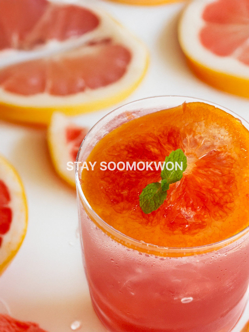 포천 스테이수목원