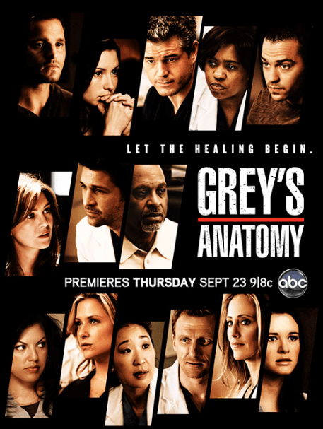 그레이 아나토미