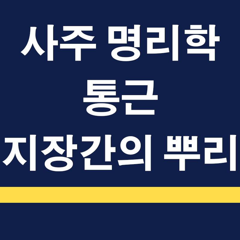명리의 통근 이해: 천간의 글자와 지장간의 뿌리