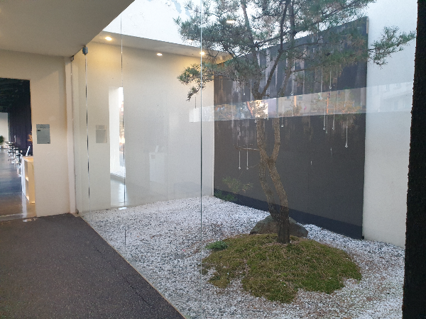 유리로 막힌 중정에는 나무 한 그루가 서있다.