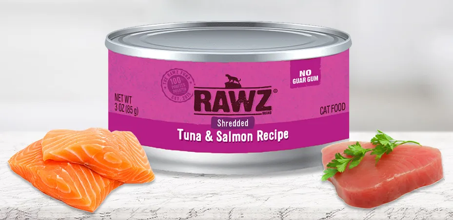 아기고양이-습식사료-추천-로우즈-슈레디드-캔