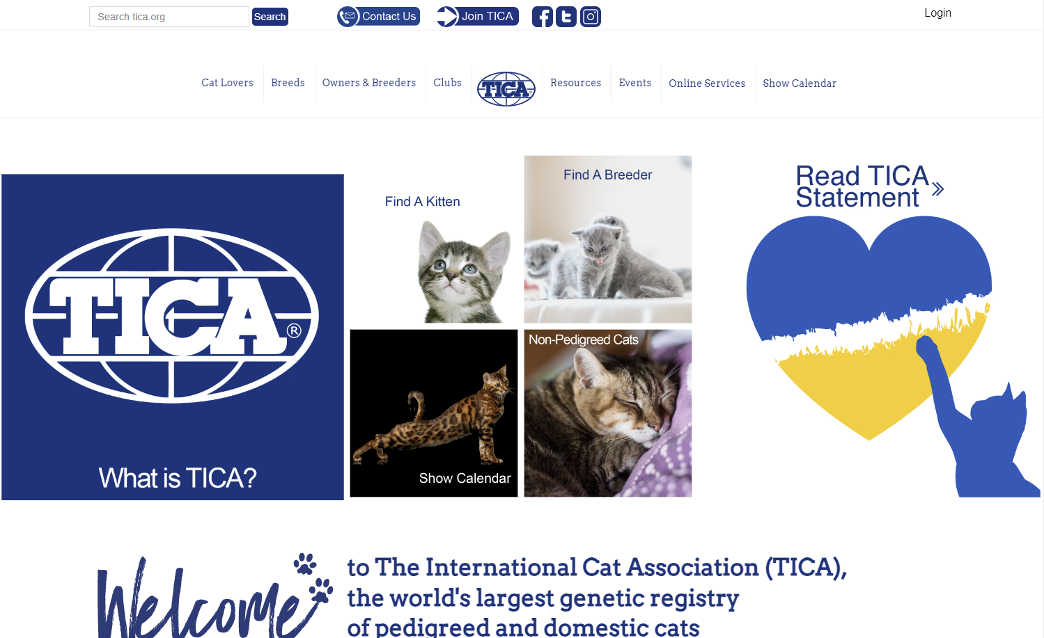 TICA 홈페이지