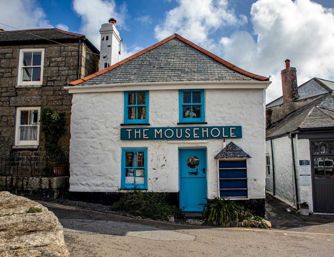 Blue House