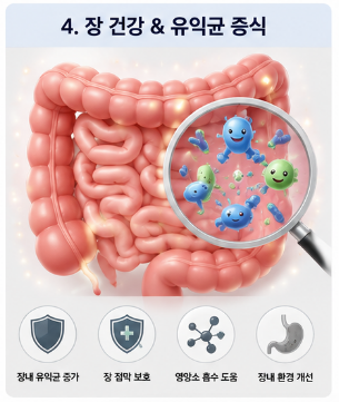 캡슐레이션효소-내돈내산-변비-효과-복용법-구입처-가격