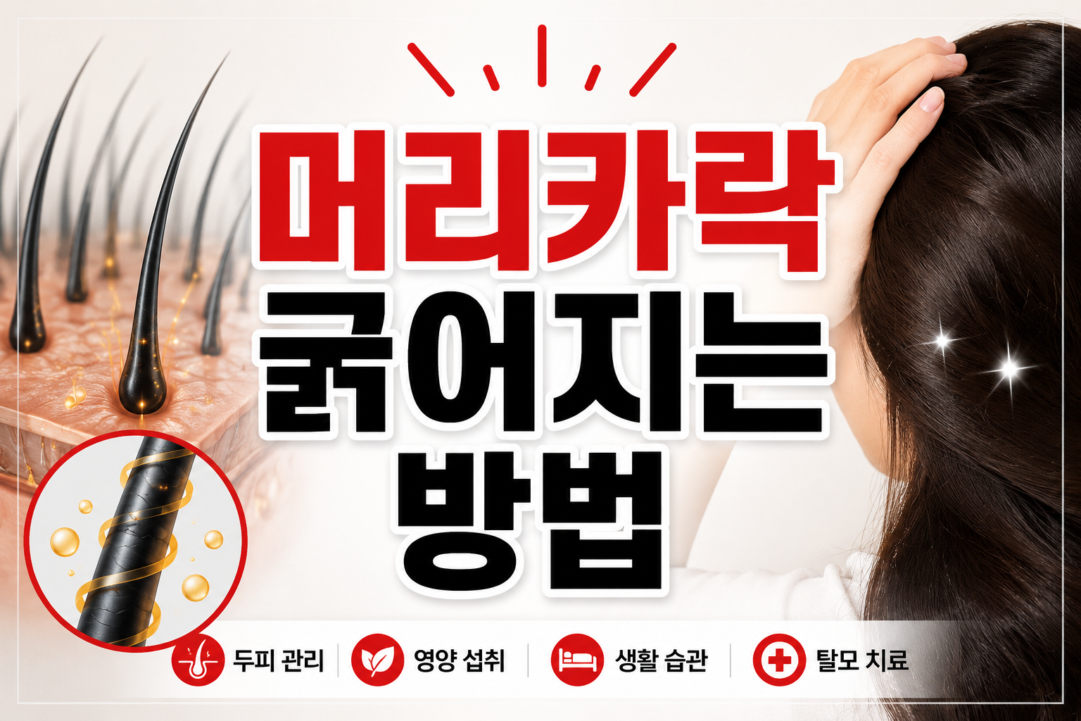 머리카락 굵어지는 방법
