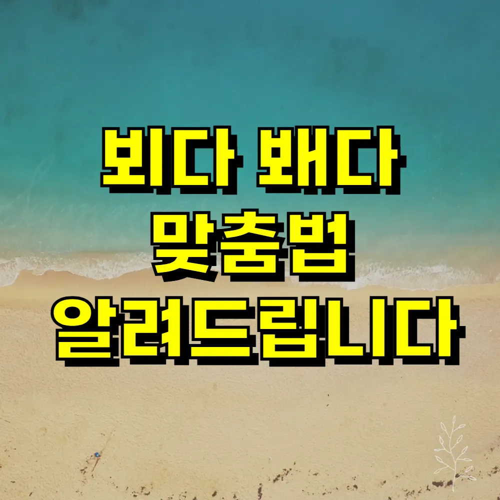 뵈다 봬다 맞춤법 알려드립니다