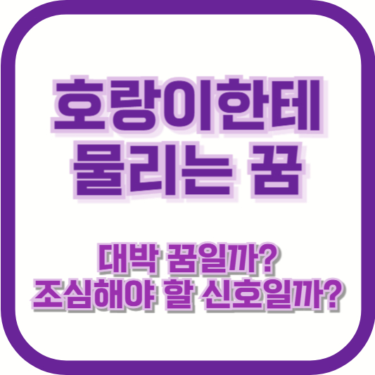 호랑이한테 물리는 꿈, 대박 꿈일까? 조심해야 할 신호일까?