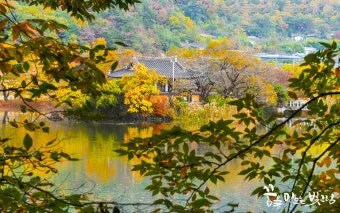 밀양 가볼만한곳 베스트10 경남 지역 대표 명소 완벽 소개_18