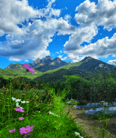 북한산 국립공원 실시간 cctv