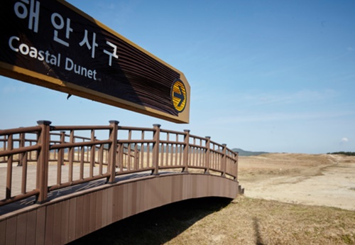 태안 가볼만한곳