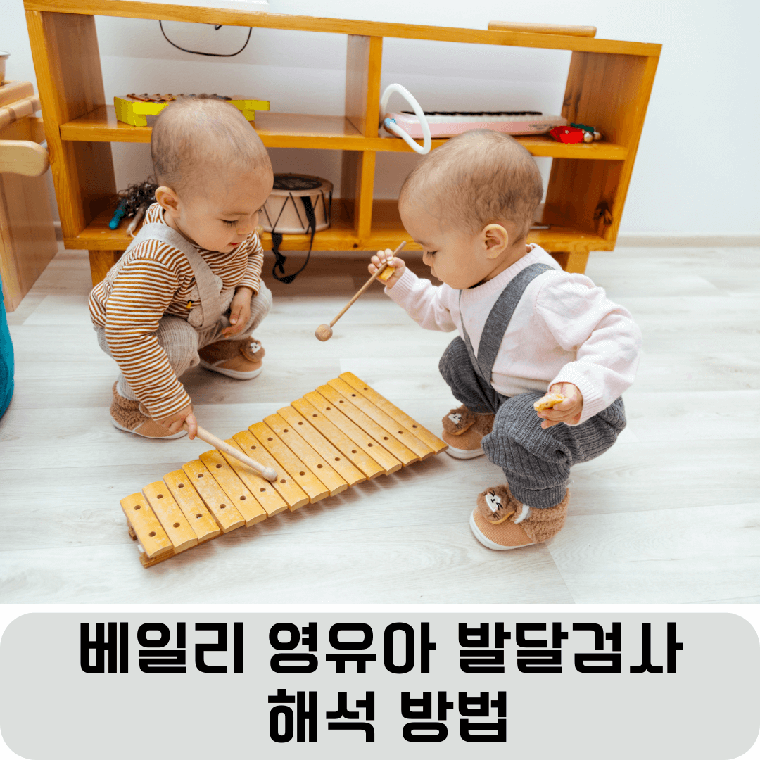 베일리 영유아 발달검사 해석방법