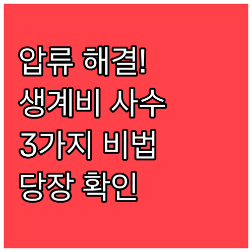계좌 압류로 막막한 생계 유지 해결하..