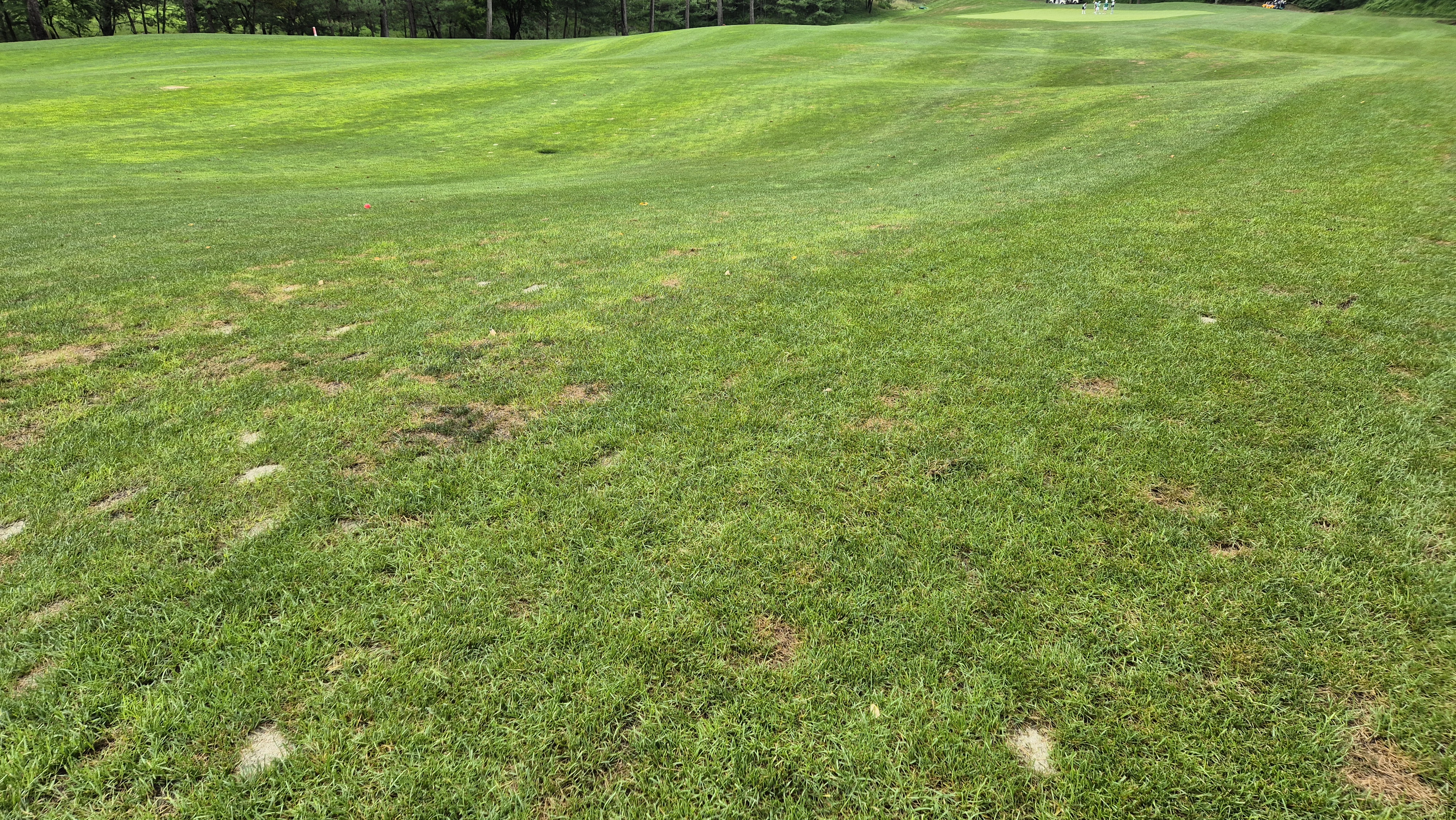 센테리움cc 스코틀랜드-웨일즈 코스 라운드 후기