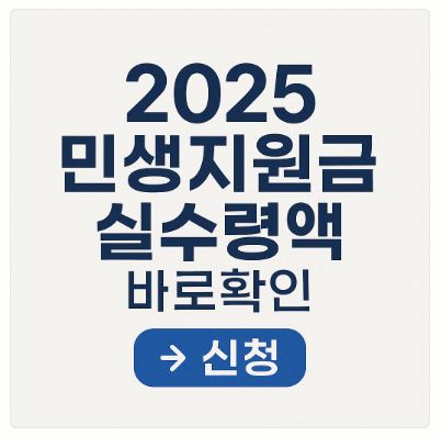 2025 민생지원금 실수령액 바로확인