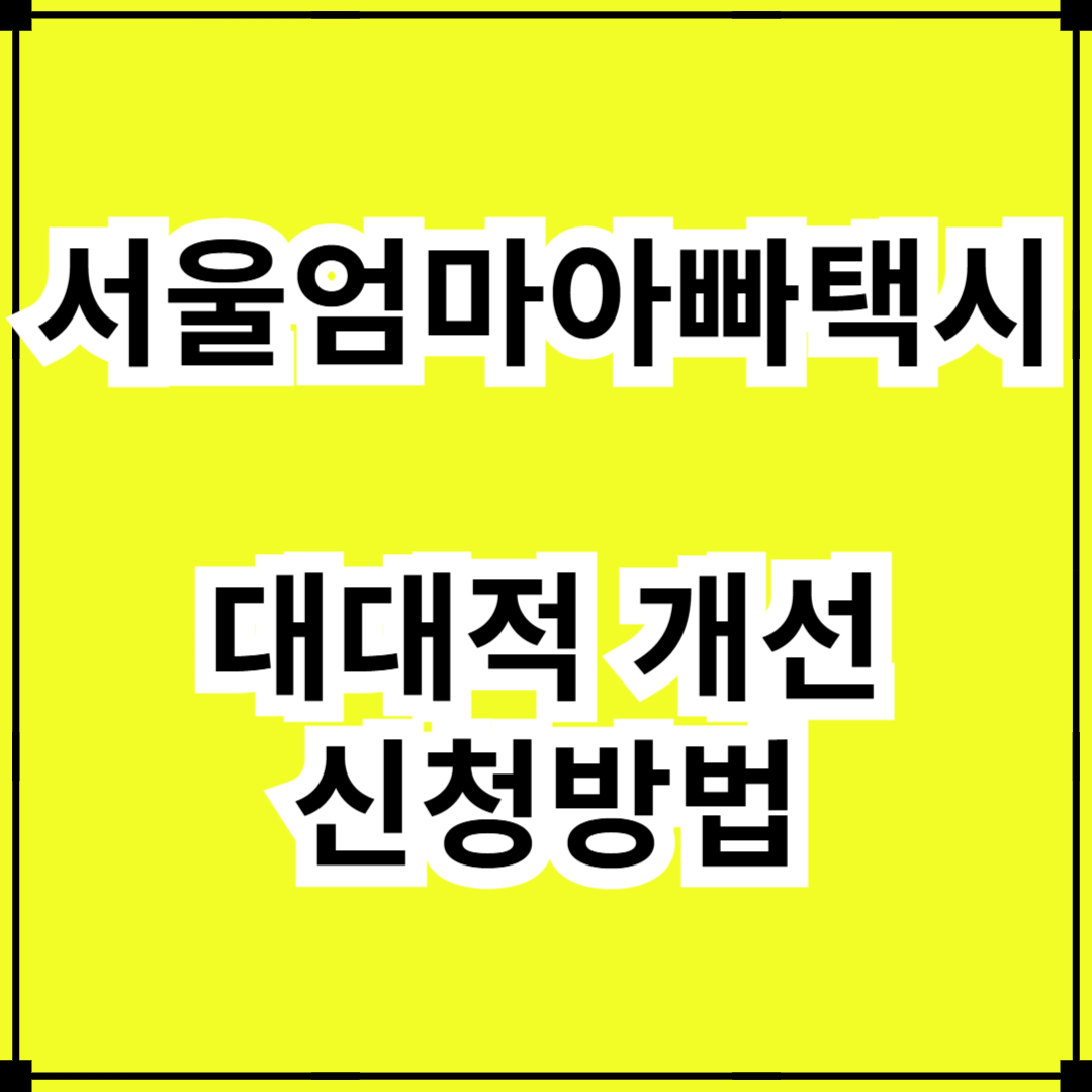 '서울엄마아빠택시' 대대적 개선, 신청방법