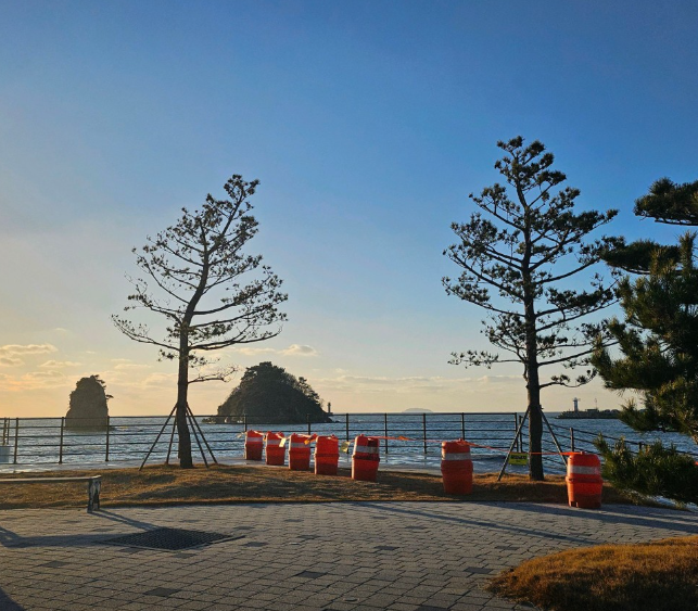 생방송투데이 태안 3GO여행 태안세계튤립꽃박람회 독살체험 우럭젓국 간장게장 꽃지해수욕장 낙조