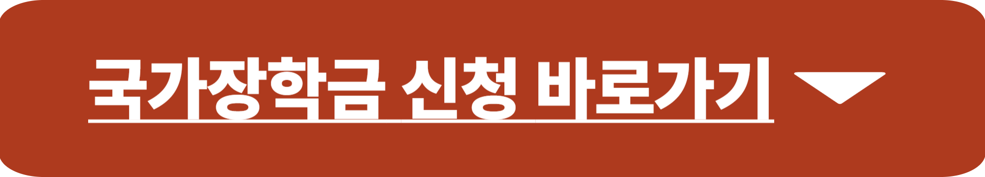 국가장학금 신청